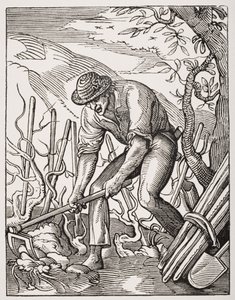 Il viticoltore, da un